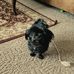 Terri Johnston - Facebook