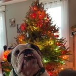Terri Justice - @tjustic1 - Instagram