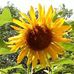 Terri Kinter - Facebook
