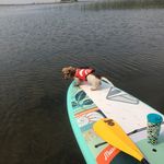 Terri Kinter - @tkinter50 - Instagram