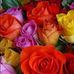 Terri Klaus - Facebook