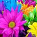 Theresa Klaus - Facebook