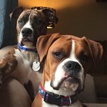 Terri Knowles - @brobroandchlochlo - Instagram