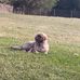 Teresa LeGrand - Facebook