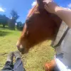 Teri Lamb - @teri.lamb - TikTok