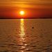 Terri Landman - Facebook