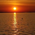 Terri Landman - @terrilandman - Instagram