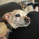 Terri LaRae Griswold-Dodgson - @teric2020 - Instagram