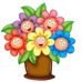 Terri Large - Facebook