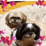 Terri Larson - @terrilarson5977 - Instagram