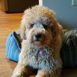 Terri Larson - @terri.lars - Instagram