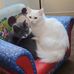 Terri Larson - Facebook