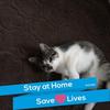 Terri McLaughlin - @terri.mclaughlin5 - TikTok