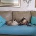 Terri Lawrence - Facebook
