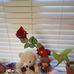 Terri Lawrence - Facebook