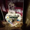 Terri Laws481 - @terrilaws465 - TikTok