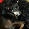terri lawson - @terri.lawson2 - TikTok