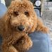Terri Layman - Facebook
