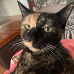 Terri Layman - @tllayman - Instagram