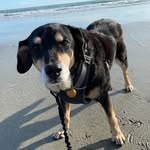 Terri Lechner - @terrilechner - Instagram