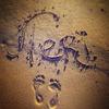 Teri Ledbetter417 - @teriledbetter417 - TikTok