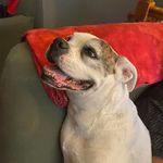 Terri Ledbetter Morris - @terriledbettermorris - Instagram