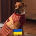 Terri Leeman - Facebook