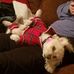 Theresa Lemley - Facebook