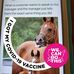Terri Lemon - Facebook