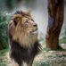 Terri Lerner - Facebook