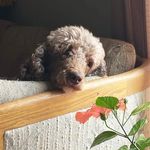 Terri Levin Wally Hitchcock - @terri_levin_wally_hitchcock - Instagram
