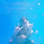 Terri Levine - @terrilevine - Instagram