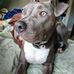 Terri Lilly - Facebook