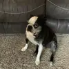 terriandlilly - @myizzy247 - TikTok