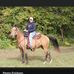 Terri Link - Facebook