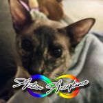 Terri Theresa Partington Link - @terri.link - Instagram