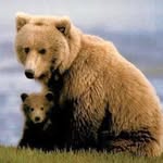 Terri Linnell - @mommabear1636 - Instagram