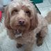 Theresa Linnell - Facebook