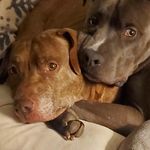 Terri Logan - @terrilogan51 - Instagram