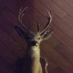 Terri Lott - @terrillott58 - Instagram