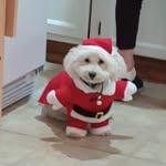 Terri L. Mann - @terrimann1234 - Instagram