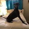 Terri Mann - @terri.mann6 - TikTok
