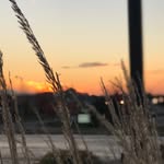 Terri Mann-Lamb - @momentnthyme - Instagram
