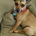 Terri Mann Overberg - @mannterri - Instagram