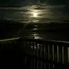 nina - @terrimanning891 - TikTok