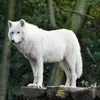 terrimarlow475 - @terrimarlow475 - TikTok