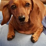 Terry Marlow - @tmar421 - Instagram