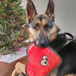 Terri Mathis - @terrigraham2016 - Instagram