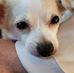 Teresa Matteson - Facebook