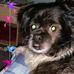 Terri Matteson - Facebook
